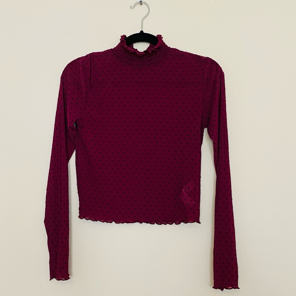 Sheer with Velvet Detail Turtleneck Blouse